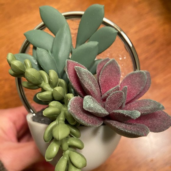 NWT Scent Control Succulent Wallflower Plug Bath and Body Works + Free Scent - Picture 3 of 9